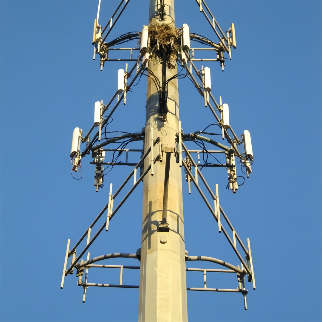 12m 30m 45m 4g 5g monopole telecom tower with flangle